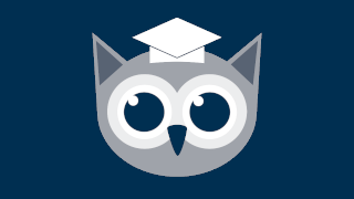 custom owl logo